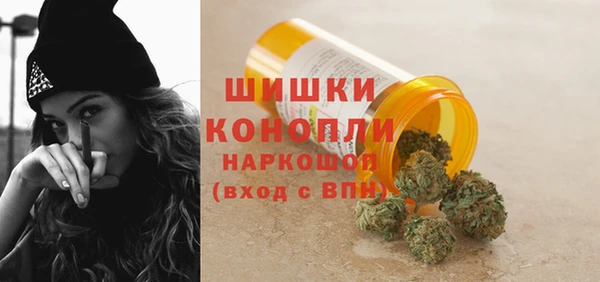 сатива Абинск
