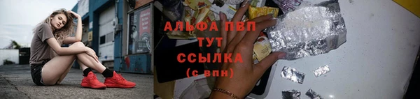 сатива Абинск