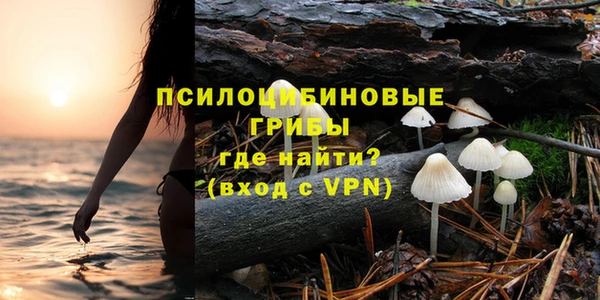 сатива Абинск