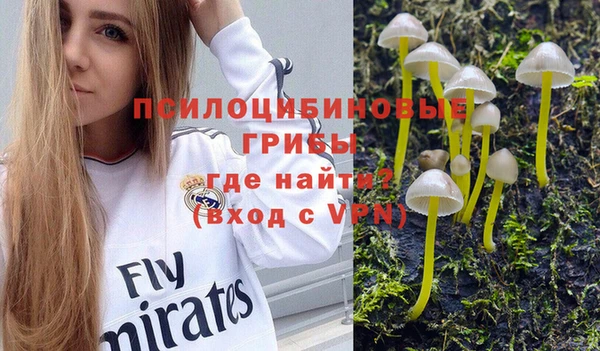 сатива Абинск