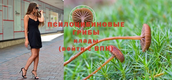 сатива Абинск