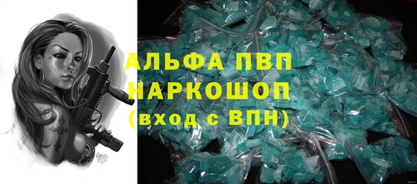 сатива Абинск
