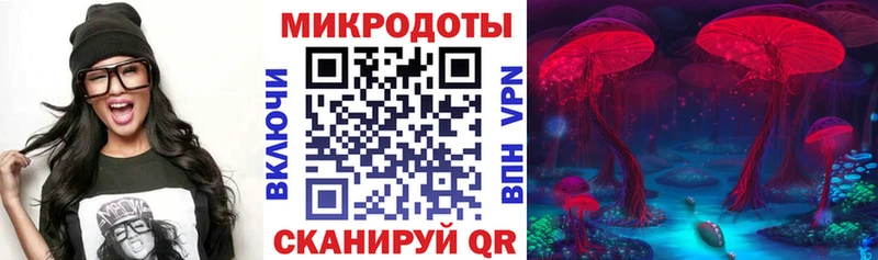 как найти   Плавск  Галлюциногенные грибы прущие грибы 